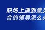 职场上遇到意见不合的领导怎么办?