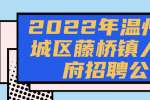 2022年温州市鹿城区藤桥镇人民政府招聘公告