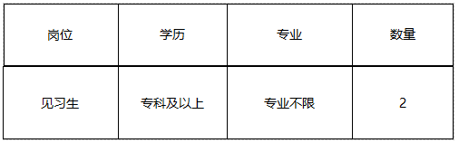 丽水社会招聘公告
