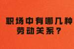 浙江职场劳动法规：职场中有哪几种劳动关系?