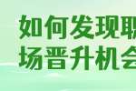 浙江人才招聘：如何发现职场晋升机会？