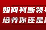 浙江人才招聘：如何判断领导是在培养你还是压榨你