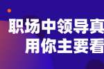 浙江职场中领导真正想重用你主要看这几点