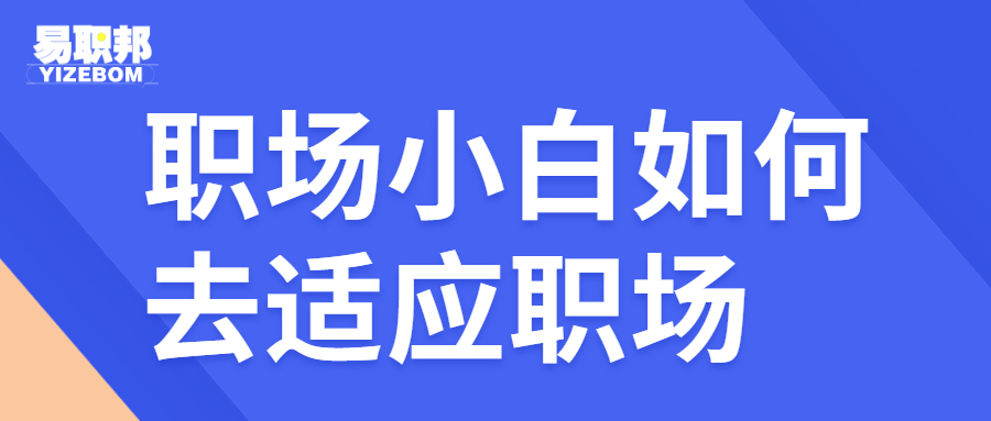 小白如何去适应职场