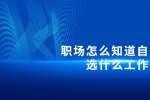 在浙江职场怎么知道自己该选什么工作