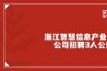 2022浙江智慧信息产业有限公司招聘3人公告