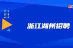 浙江富特科技股份有限公司招聘项目助理 